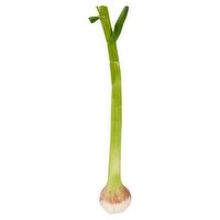 Dunnes Stores Wet Irish Garlic Bulb
