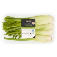 Dunnes Stores Simply Better Irish Seasonal Produce Baby Fennel 200g