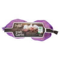 Taylor's of Lusk 2 Irish Purple Garlic Bulbs