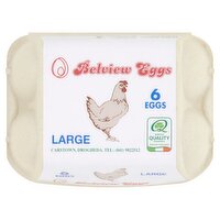 Belvieweggs 6 Large Eggs