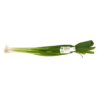 Dunnes Stores Spring Onions 100g