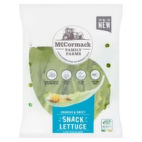 McCormack Family Farms Snack Lettuce