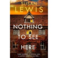 Nothing to See Here - Susan Lewis
