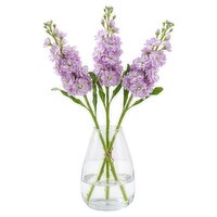 Dunnes Stores Scented Stock Bouquet