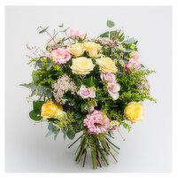 Appassionata Loves Summer €60