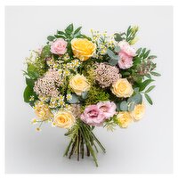 Appassionata Loves Summer €80