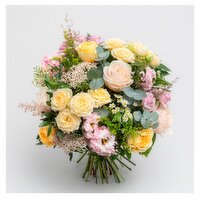 Appassionata Loves Summer €100