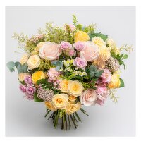 Appassionata Loves Summer €120