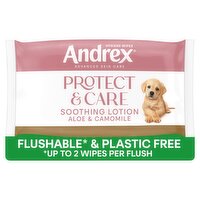 Andrex Protect & Care Hygiene Wipes Moist Toilet Tissue Single pack