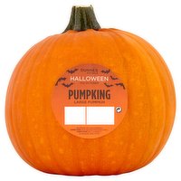 Dunnes Stores Halloween Pumpking Large Pumpkin