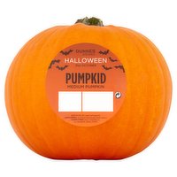 Dunnes Stores Pumpkid Medium Pumpkin
