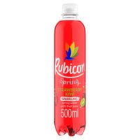 Rubicon Strawberry Kiwi Sparkling Spring Water Bottle 500ml