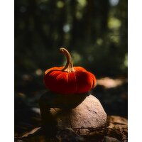 Small Velvet Pumpkin Orange 