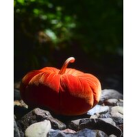 Large Velvet Pumpkin Orange