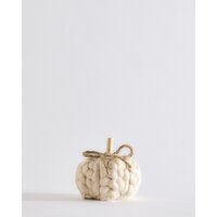 Mini Knitted Pumpkin Cream 