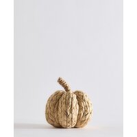 Mini Corn Husk Pumpkin Natural S