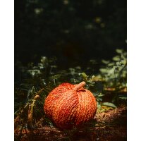 Large Corn Husk Pumpkin Orange L