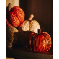 Two Tone Twist Pumpkin Orange S