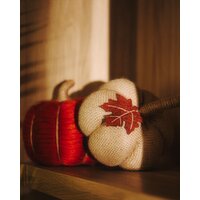 Jute Pumpkin Natural 