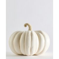 Small Rustic Pumpkin Ivory S