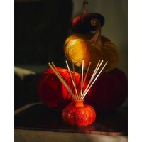 Pumpkin Spice Diffuser - 100ml Orange