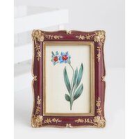 Carolyn Donnelly Eclectic Antique Frame Multi