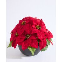 Potted Poinsettia Red