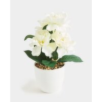 Small Potted Faux Plant Ivory