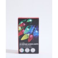 Vintage LED Lights - 20 Multi 