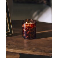 Fennel & Pine Dapple Candle Brown