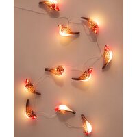 Carolyn Donnelly Eclectic Robin Lights Multi
