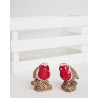 Carolyn Donnelly Eclectic Robin Salt & Pepper Set Multi 