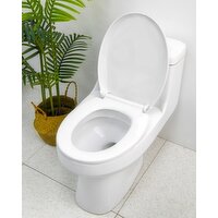 Toilet Seat White