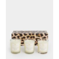 Paul Costelloe Living Boxed Candle Gift Set Multi 