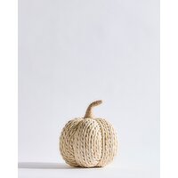 Medium Cornhusk Pumpkin Natural