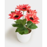 Faux Small Potted Plant Coral