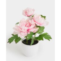 Faux Small Potted Plant Baby-Pink