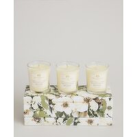 Paul Costelloe Living Boxed Candle Gift Set Green 