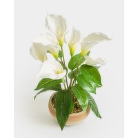 Faux Potted Calla Lily Ivory