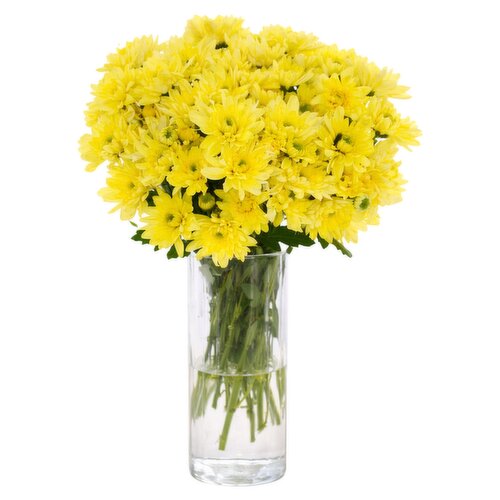 Chrysanthemums