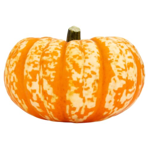 Dunnes Stores Pumpkemon 