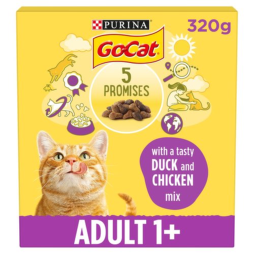 Go kitten food best sale