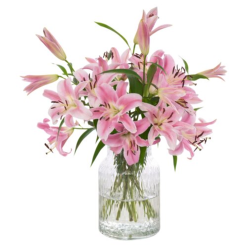 Luxury Lillies