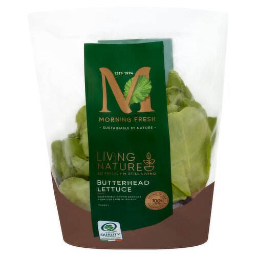 Morning Fresh Living Nature Butterhead Lettuce