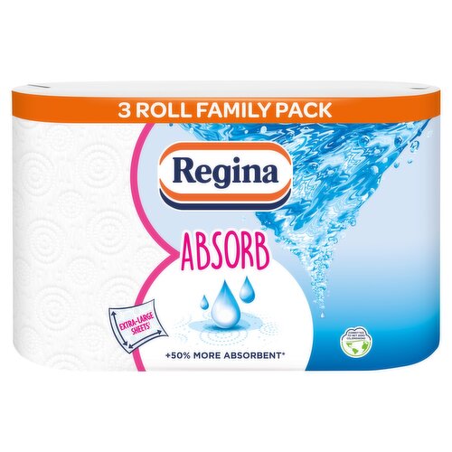 Regina Absorb 3R Kitchen Roll