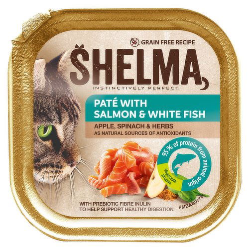 Shelma Pate with Salmon White Fish 100g Dunnes Stores