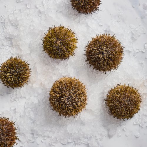 Dunnes Stores Fishmonger Sea Urchin 100g