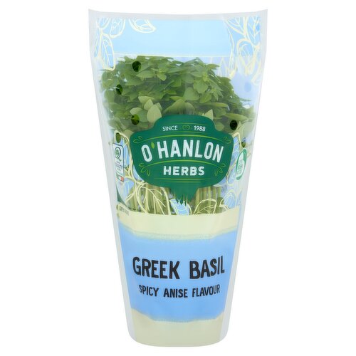O'Hanlon Herbs Spicy Anise Flavor Greek Basil