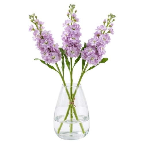 Dunnes Stores Scented Stock Bouquet