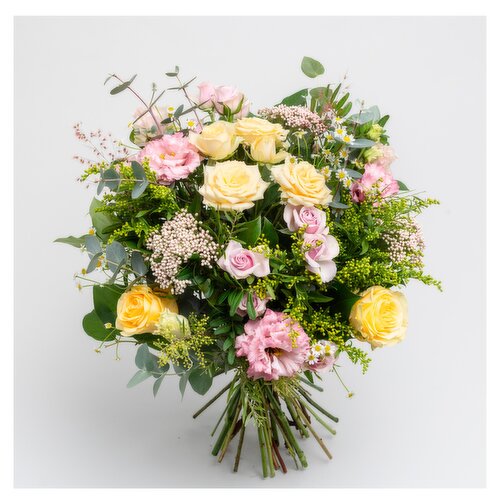Appassionata Loves Summer €60
